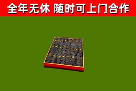 鹤庆县回收海参